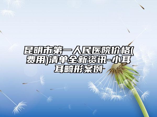 昆明市第一人民醫(yī)院價格(費用)清單全新資訊-小耳耳畸形案例