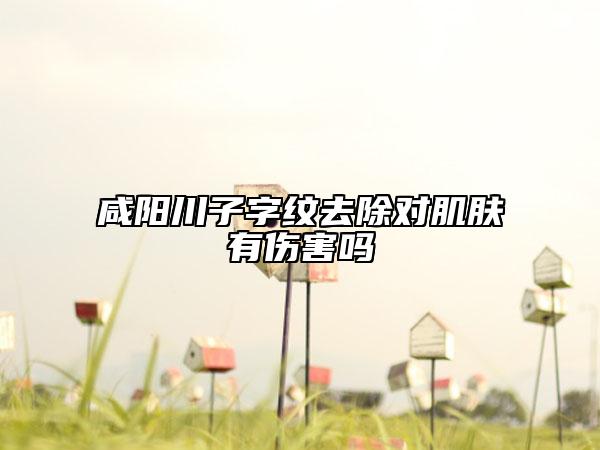 咸陽川子字紋去除對肌膚有傷害嗎
