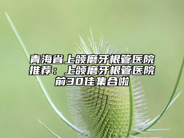 青海省上頜磨牙根管醫(yī)院推薦：上頜磨牙根管醫(yī)院前30佳集合啦