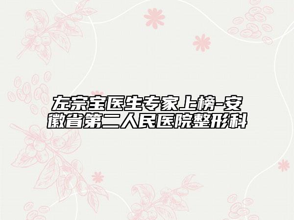 左宗寶醫(yī)生專家上榜-安徽省第二人民醫(yī)院整形科