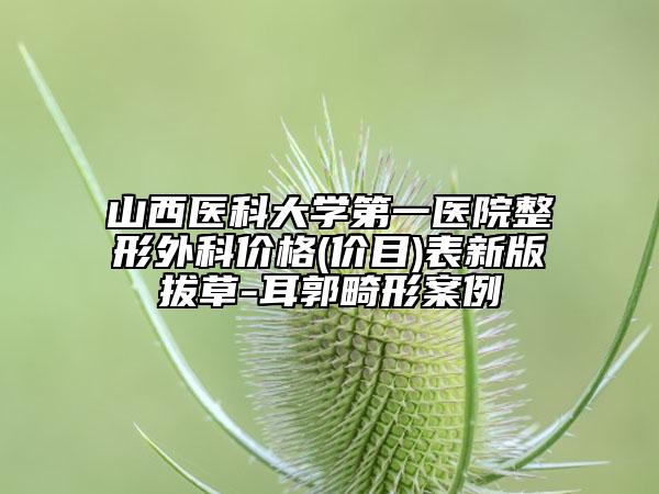 山西醫(yī)科大學(xué)第一醫(yī)院整形外科價(jià)格(價(jià)目)表新版拔草-耳郭畸形案例