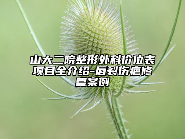 山大二院整形外科價位表項目全介紹-唇裂傷疤修復(fù)案例