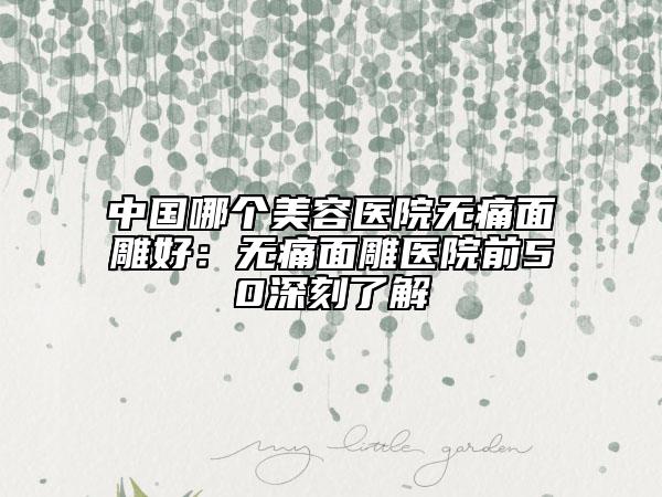 中國哪個美容醫(yī)院無痛面雕好：無痛面雕醫(yī)院前50深刻了解