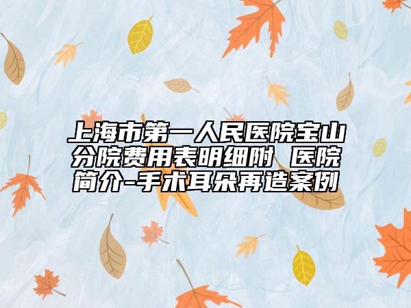 上海市第一人民醫(yī)院寶山分院費(fèi)用表明細(xì)附 醫(yī)院簡(jiǎn)介-手術(shù)耳朵再造案例