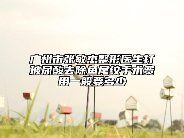 廣州市張敏杰整形醫(yī)生打玻尿酸去除魚尾紋手術(shù)費(fèi)用一般要多少