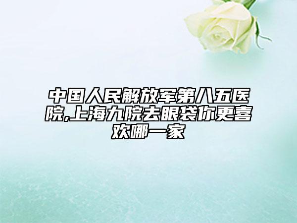 中國人民解放軍第八五醫(yī)院,上海九院去眼袋你更喜歡哪一家