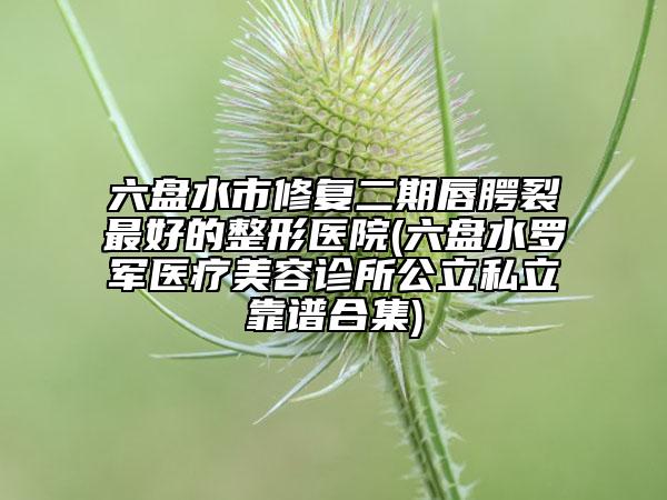 六盤(pán)水市修復(fù)二期唇腭裂最好的整形醫(yī)院(六盤(pán)水羅軍醫(yī)療美容診所公立私立靠譜合集)
