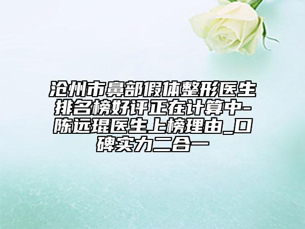 滄州市鼻部假體整形醫(yī)生排名榜好評正在計算中-陳遠琨醫(yī)生上榜理由_口碑實力二合一