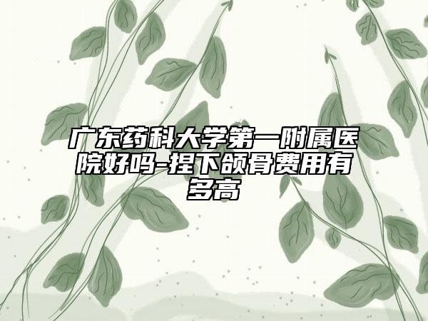 廣東藥科大學第一附屬醫(yī)院好嗎-捏下頜骨費用有多高