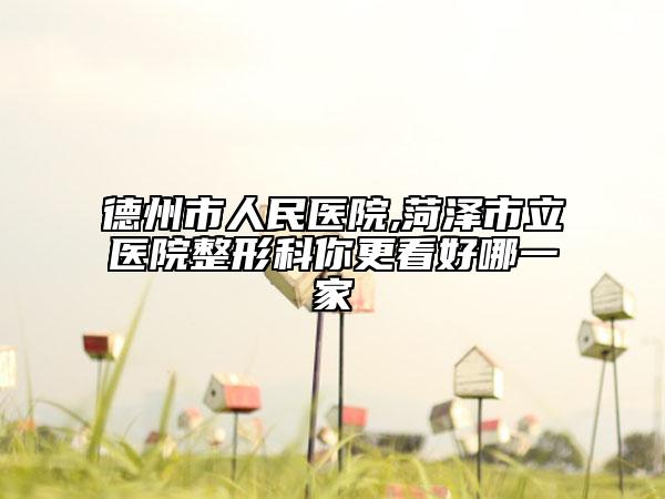 德州市人民醫(yī)院,菏澤市立醫(yī)院整形科你更看好哪一家