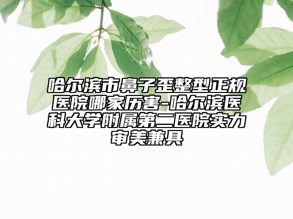 哈爾濱市鼻子歪整型正規(guī)醫(yī)院哪家歷害-哈爾濱醫(yī)科大學(xué)附屬第二醫(yī)院實力審美兼具