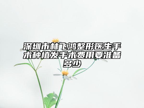 深圳市林飛鴻整形醫(yī)生手術(shù)種植發(fā)手術(shù)費(fèi)用要準(zhǔn)備多少