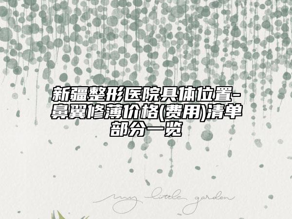 新疆整形醫(yī)院具體位置-鼻翼修薄價格(費用)清單部分一覽