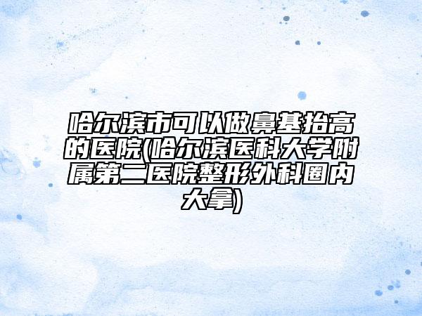 哈爾濱市可以做鼻基抬高的醫(yī)院(哈爾濱醫(yī)科大學(xué)附屬第二醫(yī)院整形外科圈內(nèi)大拿)