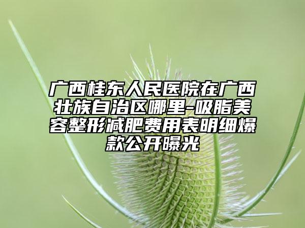 廣西桂東人民醫(yī)院在廣西壯族自治區(qū)哪里-吸脂美容整形減肥費(fèi)用表明細(xì)爆款公開曝光