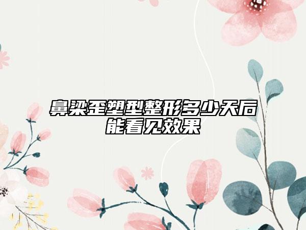 鼻梁歪塑型整形多少天后能看見(jiàn)效果
