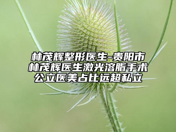 林茂輝整形醫(yī)生-貴陽市林茂輝醫(yī)生激光溶脂手術(shù)公立醫(yī)美占比遠(yuǎn)超私立