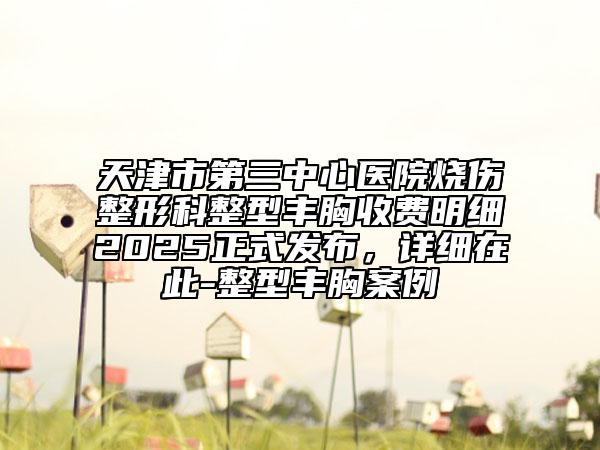 天津市第三中心醫(yī)院燒傷整形科整型豐胸收費明細2025正式發(fā)布，詳細在此-整型豐胸案例