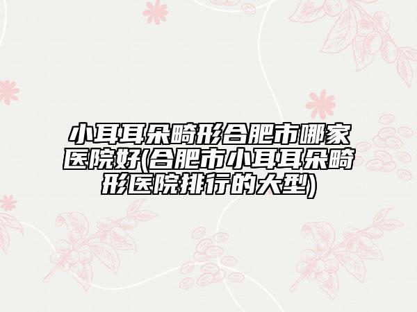 小耳耳朵畸形合肥市哪家醫(yī)院好(合肥市小耳耳朵畸形醫(yī)院排行的大型)