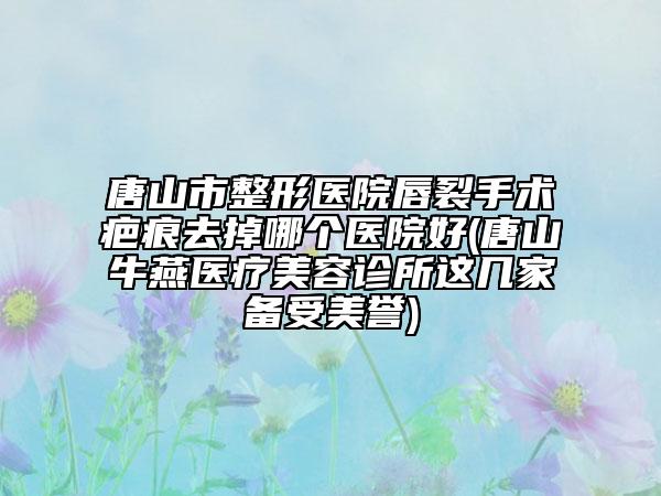 唐山市整形醫(yī)院唇裂手術(shù)疤痕去掉哪個(gè)醫(yī)院好(唐山牛燕醫(yī)療美容診所這幾家備受美譽(yù))