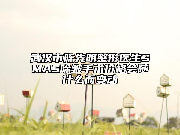 武漢市陳先明整形醫(yī)生SMAS除皺手術(shù)價格會隨什么而變動