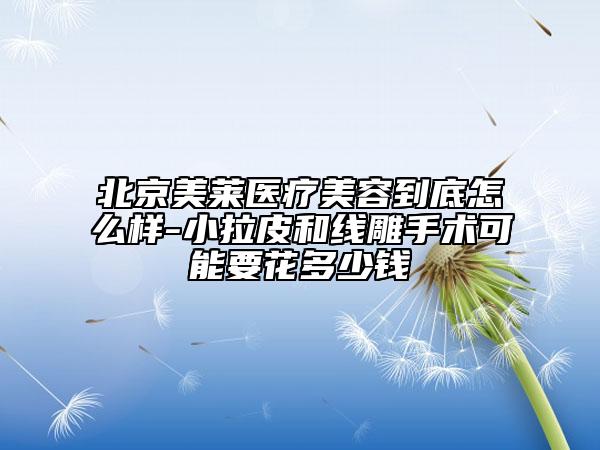 北京美萊醫(yī)療美容到底怎么樣-小拉皮和線(xiàn)雕手術(shù)可能要花多少錢(qián)