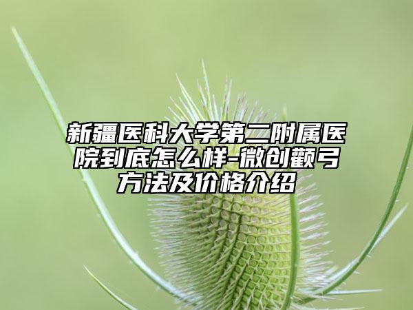 新疆醫(yī)科大學第二附屬醫(yī)院到底怎么樣-微創(chuàng)顴弓方法及價格介紹