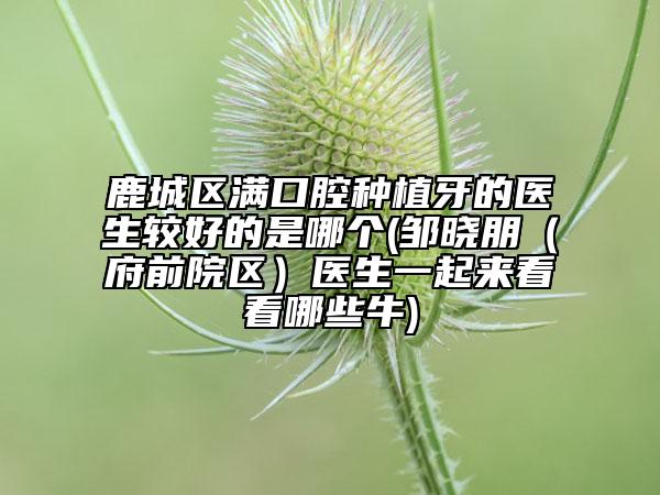 鹿城區(qū)滿口腔種植牙的醫(yī)生較好的是哪個(鄒曉朋(府前院區(qū))醫(yī)生一起來看看哪些牛)