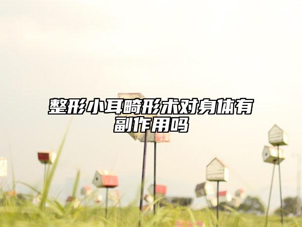 整形小耳畸形術(shù)對(duì)身體有副作用嗎