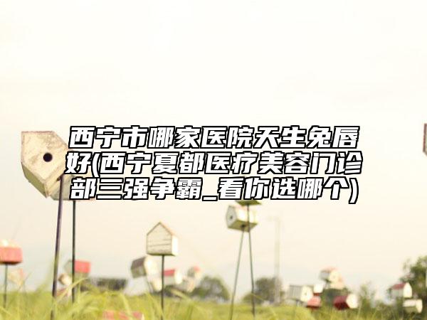 西寧市哪家醫(yī)院天生兔唇好(西寧夏都醫(yī)療美容門(mén)診部三強(qiáng)爭(zhēng)霸_看你選哪個(gè))