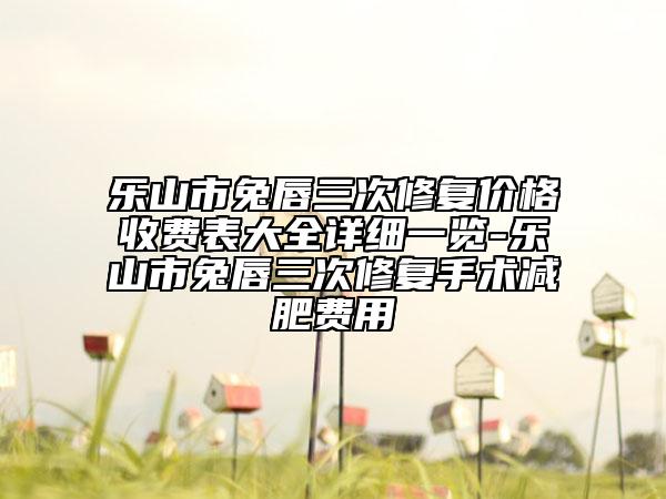 樂山市兔唇三次修復價格收費表大全詳細一覽-樂山市兔唇三次修復手術減肥費用