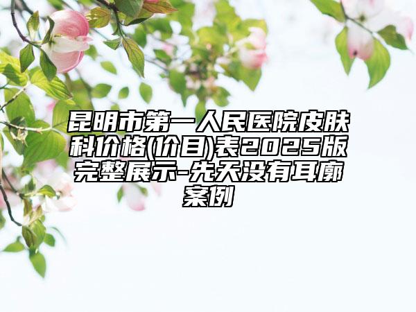 昆明市第一人民醫(yī)院皮膚科價(jià)格(價(jià)目)表2025版完整展示-先天沒有耳廓案例