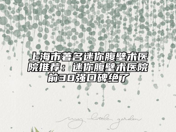 上海市著名迷你腹壁術(shù)醫(yī)院推薦：迷你腹壁術(shù)醫(yī)院前30強(qiáng)口碑絕了