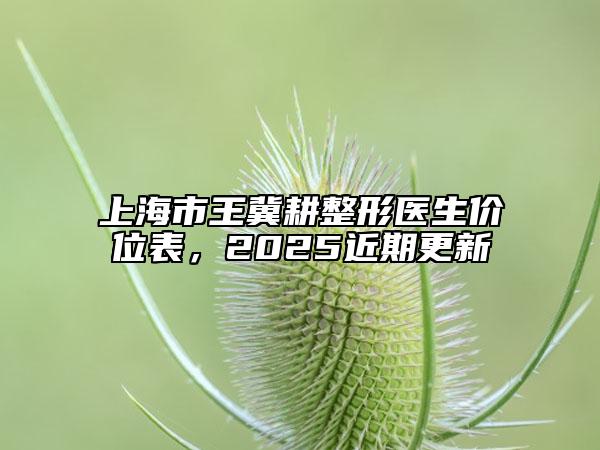 上海市王冀耕整形醫(yī)生價(jià)位表，2025近期更新