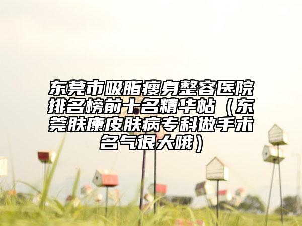 東莞市吸脂瘦身整容醫(yī)院排名榜前十名精華帖（東莞膚康皮膚病專科做手術(shù)名氣很大哦）