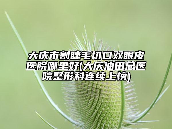 大慶市割睫毛切口雙眼皮醫(yī)院哪里好(大慶油田總醫(yī)院整形科連續(xù)上榜)
