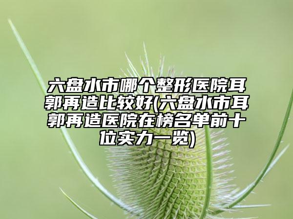 六盤水市哪個整形醫(yī)院耳郭再造比較好(六盤水市耳郭再造醫(yī)院在榜名單前十位實力一覽)