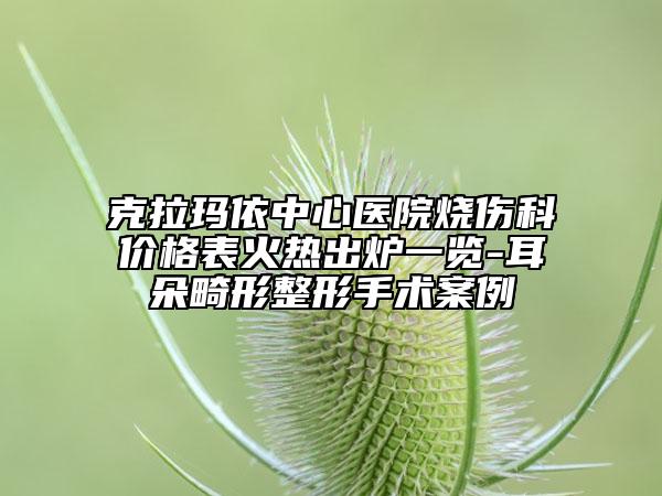 克拉瑪依中心醫(yī)院燒傷科價格表火熱出爐一覽-耳朵畸形整形手術(shù)案例