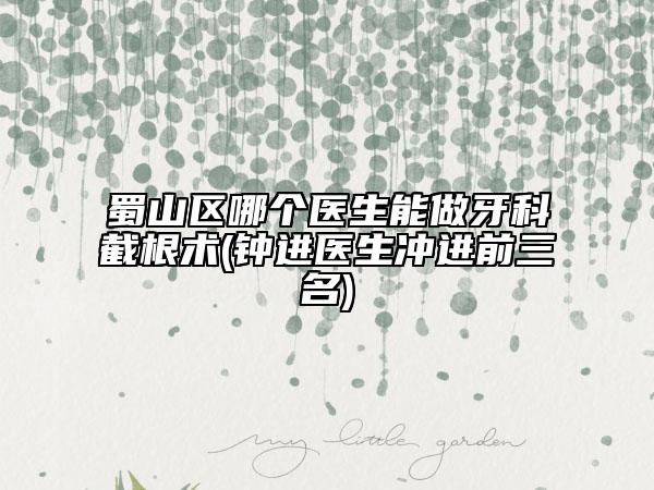 蜀山區(qū)哪個醫(yī)生能做牙科截根術(shù)(鐘進(jìn)醫(yī)生沖進(jìn)前三名)