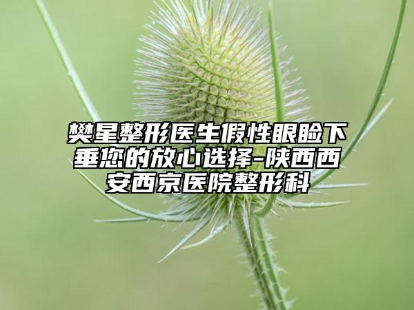 樊星整形醫(yī)生假性眼瞼下垂您的放心選擇-陜西西安西京醫(yī)院整形科