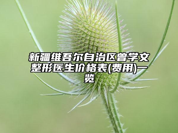 新疆維吾爾自治區(qū)曾學(xué)文整形醫(yī)生價格表(費用)一覽
