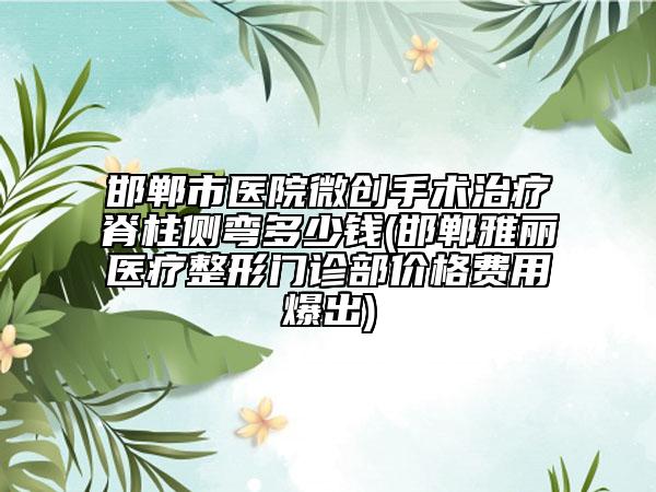 邯鄲市醫(yī)院微創(chuàng)手術(shù)治療脊柱側(cè)彎多少錢(邯鄲雅麗醫(yī)療整形門診部?jī)r(jià)格費(fèi)用爆出)