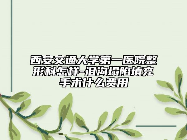 西安交通大學(xué)第一醫(yī)院整形科怎樣-淚溝塌陷填充手術(shù)什么費用