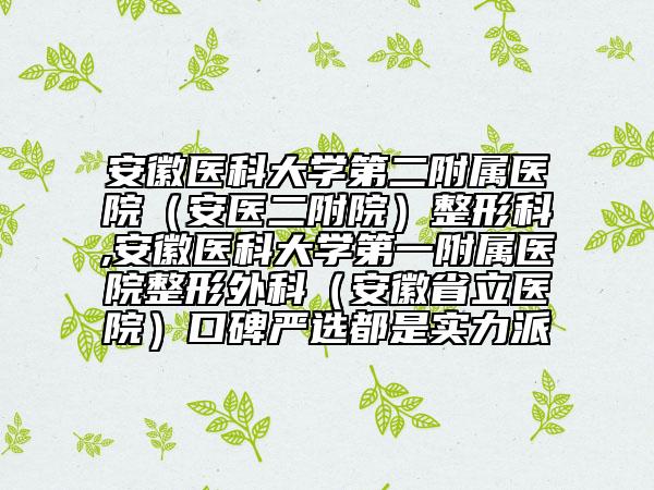 安徽醫(yī)科大學(xué)第二附屬醫(yī)院（安醫(yī)二附院）整形科,安徽醫(yī)科大學(xué)第一附屬醫(yī)院整形外科（安徽省立醫(yī)院）口碑嚴選都是實力派