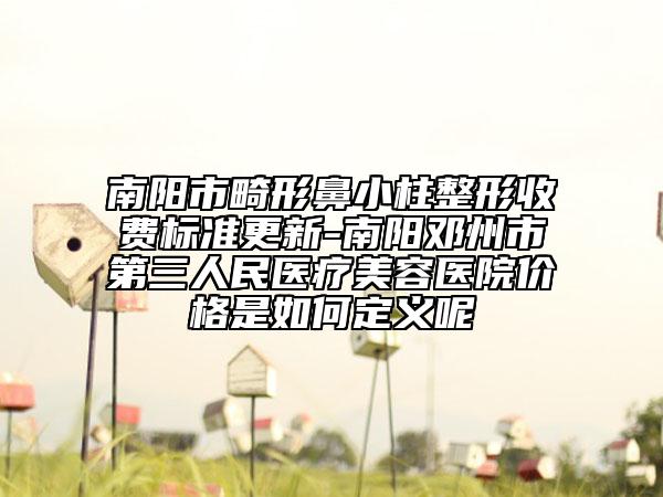 南陽(yáng)市畸形鼻小柱整形收費(fèi)標(biāo)準(zhǔn)更新-南陽(yáng)鄧州市第三人民醫(yī)療美容醫(yī)院價(jià)格是如何定義呢