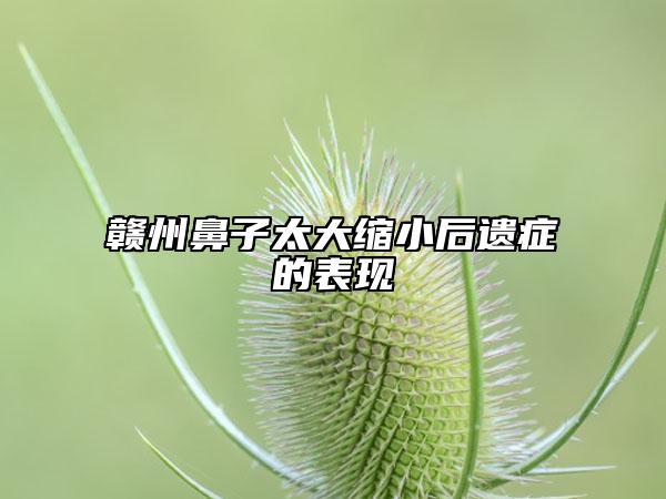 贛州鼻子太大縮小后遺癥的表現(xiàn)