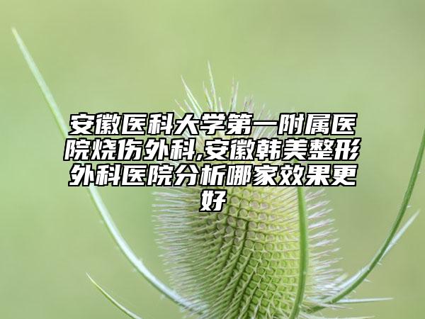 安徽醫(yī)科大學(xué)第一附屬醫(yī)院燒傷外科,安徽韓美整形外科醫(yī)院分析哪家效果更好