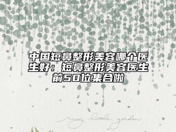 中國(guó)短鼻整形美容哪個(gè)醫(yī)生好:短鼻整形美容醫(yī)生前50位集合啦