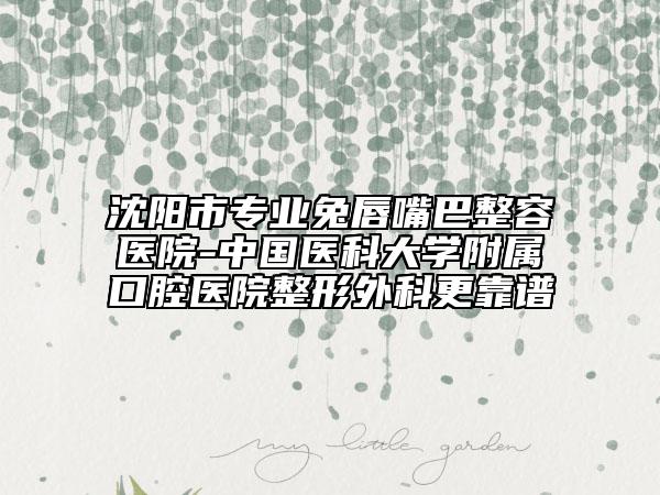 沈陽市專業(yè)兔唇嘴巴整容醫(yī)院-中國醫(yī)科大學(xué)附屬口腔醫(yī)院整形外科更靠譜
