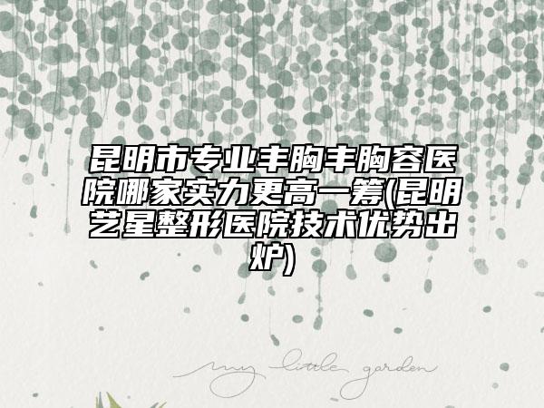 昆明市專業(yè)豐胸豐胸容醫(yī)院哪家實力更高一籌(昆明藝星整形醫(yī)院技術(shù)優(yōu)勢出爐)